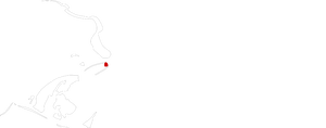 Toadman-Interactive-Logo-White.png